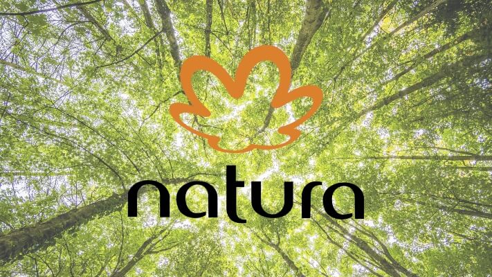 Imagem da logo da marca Natura sobrepondo um fundo com várias árvores.